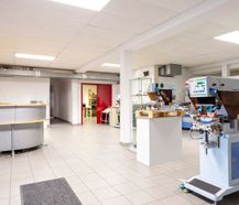 Showroom/werkruimte (ca. 430 m²) te koop in Eeklo