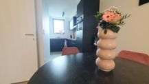 TE HUUR: Appartement met 2 slaapkamers nabij Hasselt