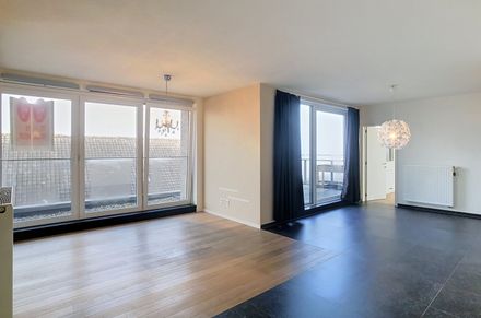 Prootstraat 1 bus 301