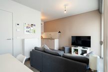 Nieuwbouwappartement met 1 slaapkamer te huur in Beveren-Leie!