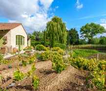 Unieke villa met vijver en bijgebouw op 7.163m² in Meulebeke