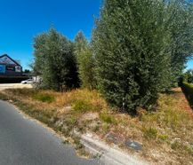 Terrain pour bâtiments mitoyens à Deinze