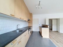 Schaarbeek: Appartement met 2 slaapkamers 100m² + balkons