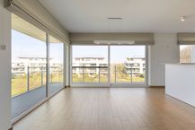 Stylish corner apartment next to the Sterrebos
