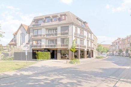 Handelspand te koop Kortrijk