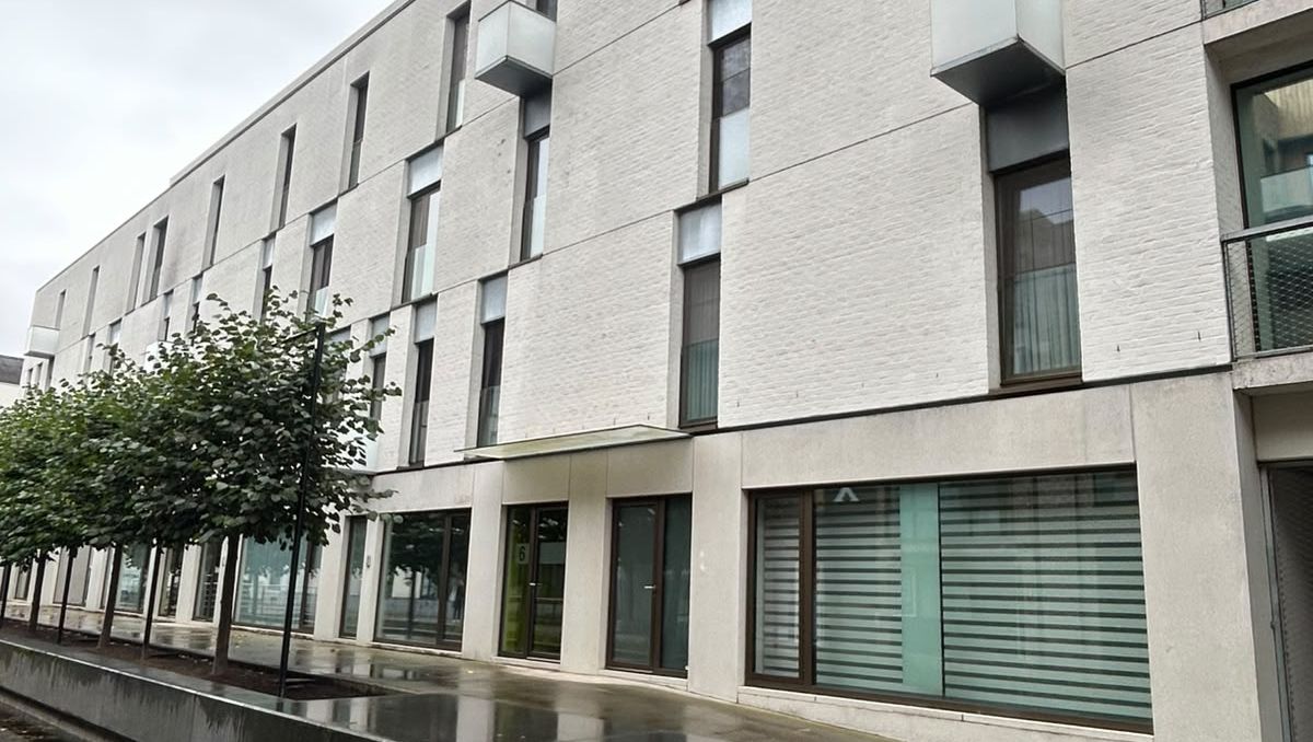 Lichtrijk appartement met terras in hartje Mechelen