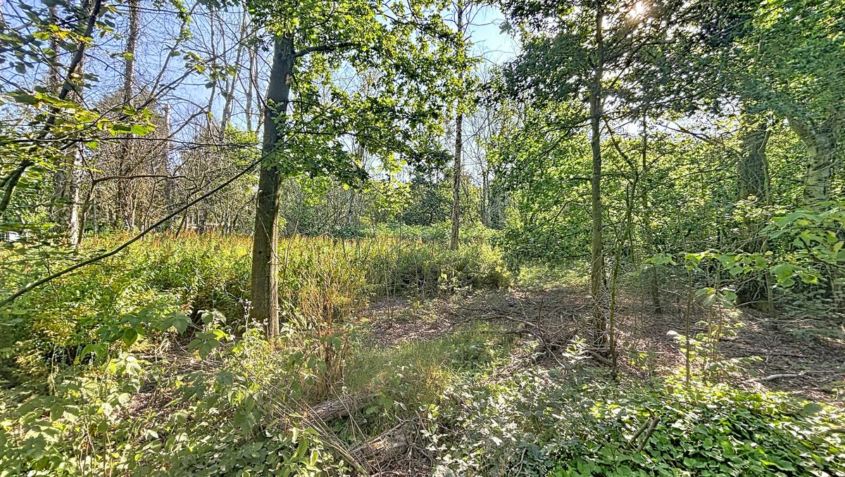 Rustig gelegen grond (ca. 1.010 m²) te koop in Wuustwezel