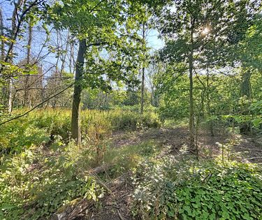 Rustig gelegen grond (ca. 1.010 m²) te koop in Wuustwezel