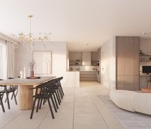 Newly built apartment with sunny terrace for sale in Sluis 9