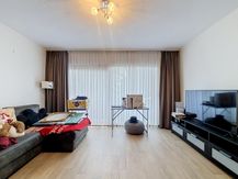 Appartement te huur in borsbeek met 2 slaapkamers