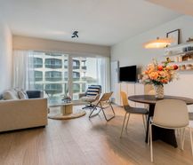 Gerenoveerd appartement met 1 slaapkamer en terras in De Panne