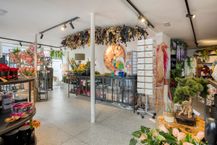 Handelspand op toplocatie in hartje Hasselt