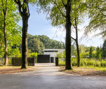 Unieke moderne villa met privébos in Sint-Andries