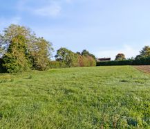 Bouwgrond voor open bebouwing te koop in Waregem