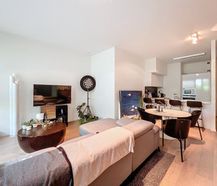 Spacious apartment with 40 m² terrace for rent on the canal