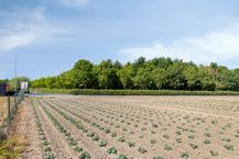 Rural plot of land for sale of 2,265 m²