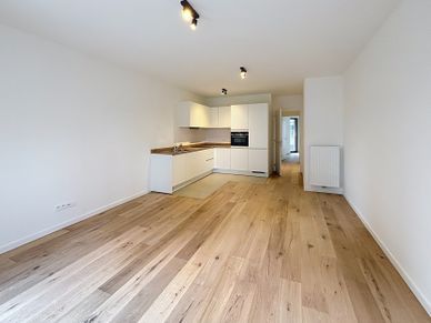 Apartment for rent Brussels (Brussel)