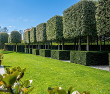 Exclusieve villa op prachtig perceel grond te koop te Leffinge!